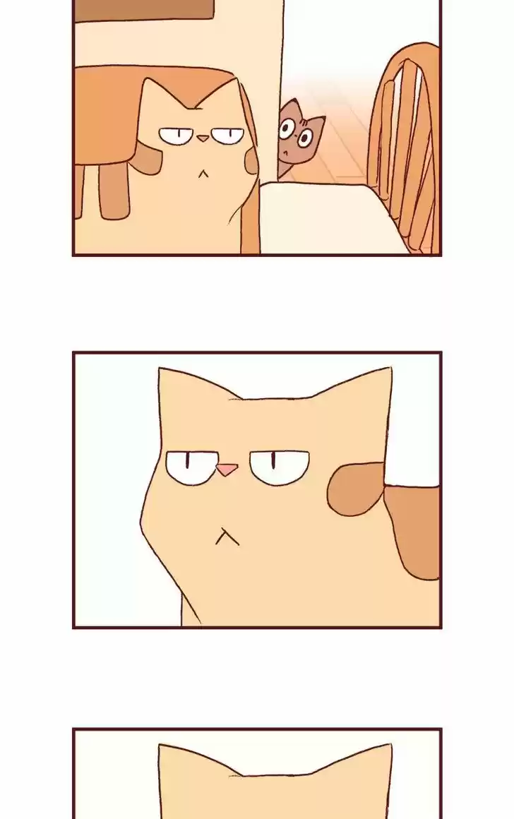 Saphie: The One-Eyed Cat 125