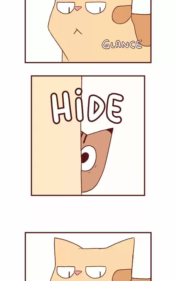 Saphie: The One-Eyed Cat 125