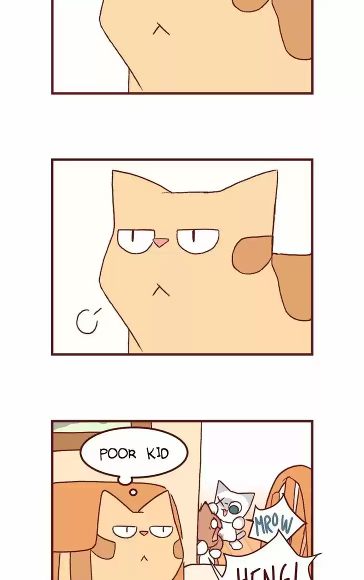 Saphie: The One-Eyed Cat 125