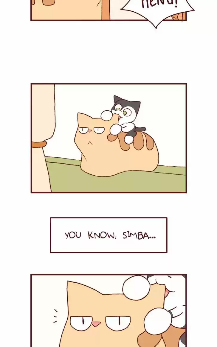 Saphie: The One-Eyed Cat 125