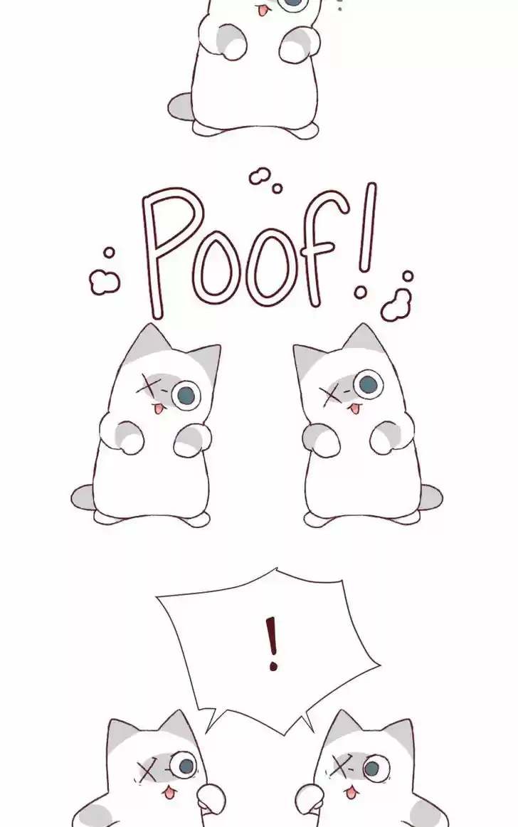 Saphie: The One-Eyed Cat 126