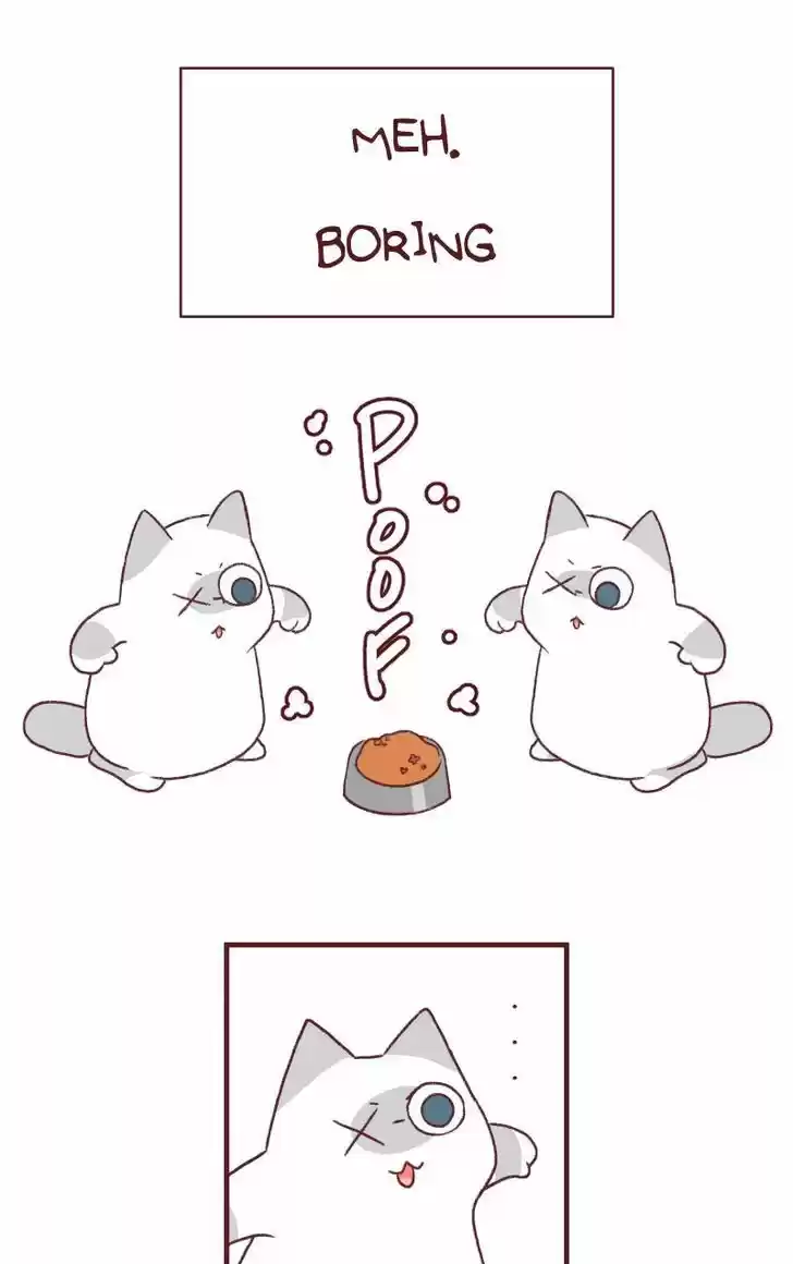 Saphie: The One-Eyed Cat 126