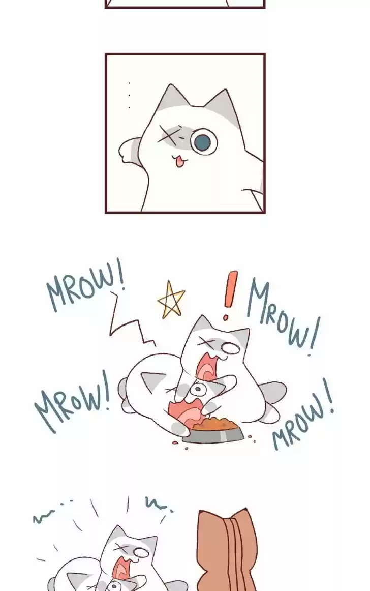 Saphie: The One-Eyed Cat 126