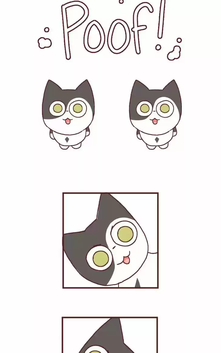 Saphie: The One-Eyed Cat 126