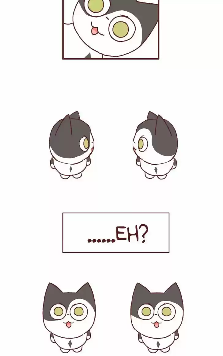 Saphie: The One-Eyed Cat 126