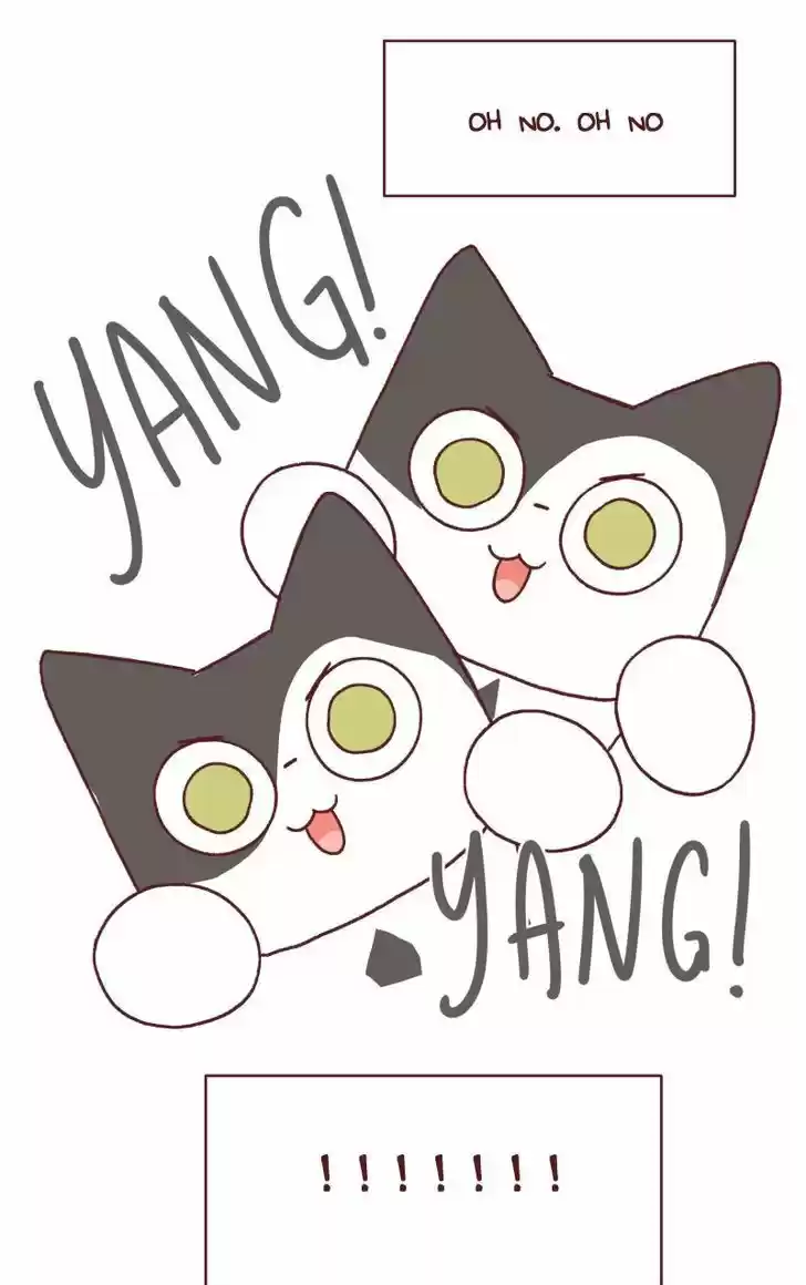 Saphie: The One-Eyed Cat 126