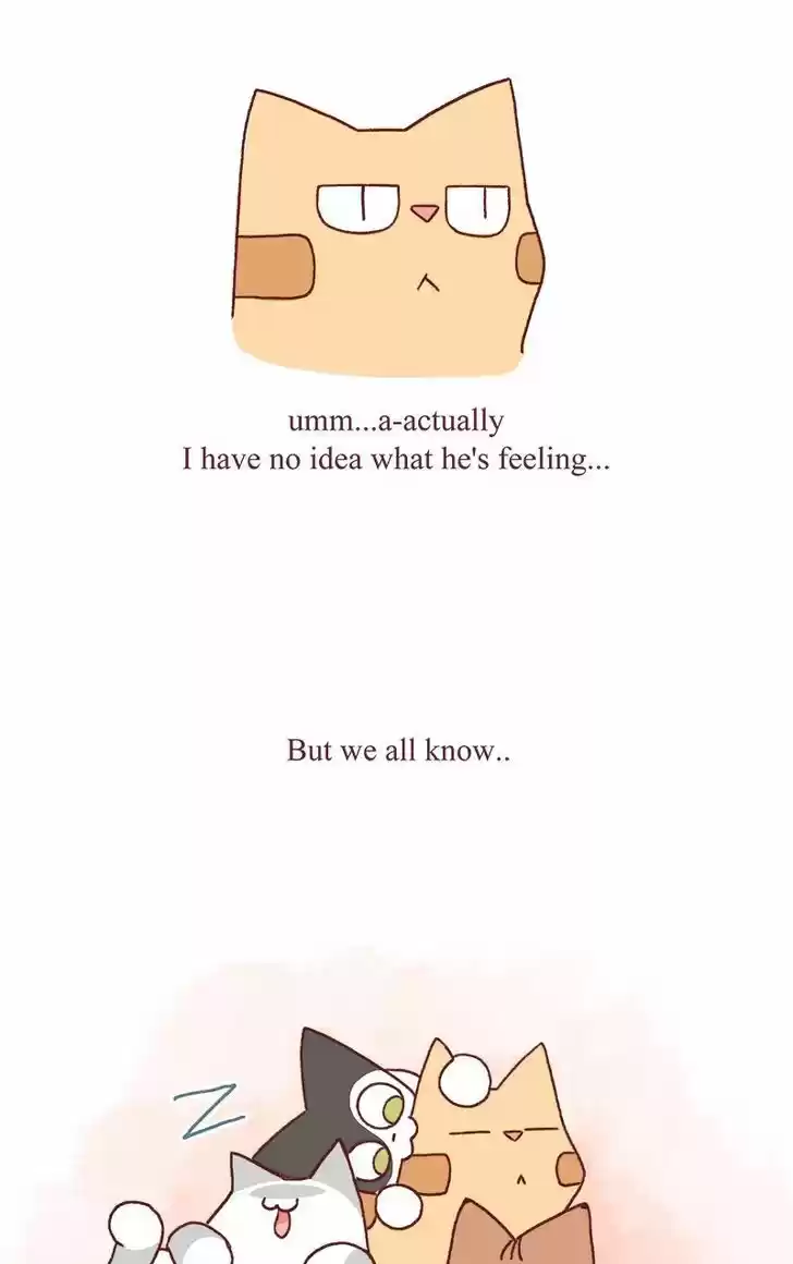 Saphie: The One-Eyed Cat 128