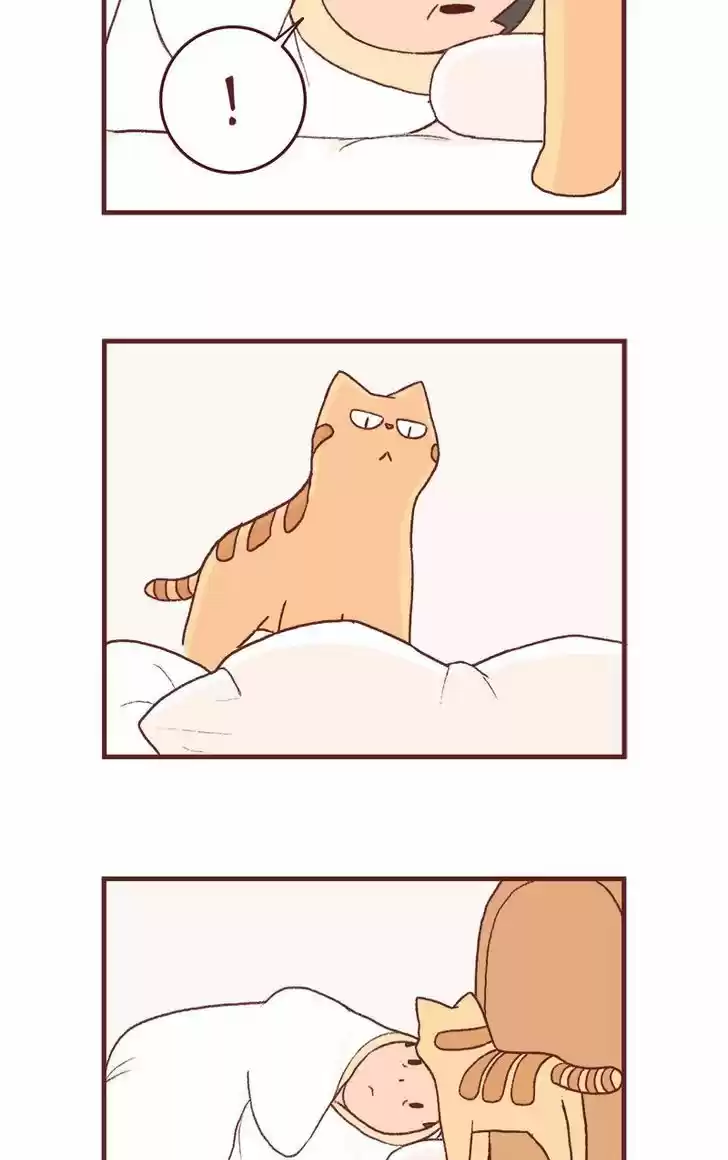 Saphie: The One-Eyed Cat 128