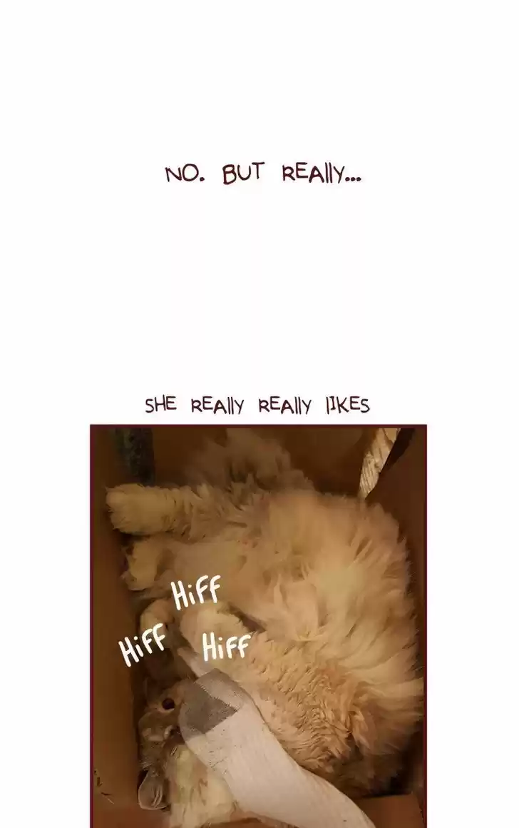 Saphie: The One-Eyed Cat 129