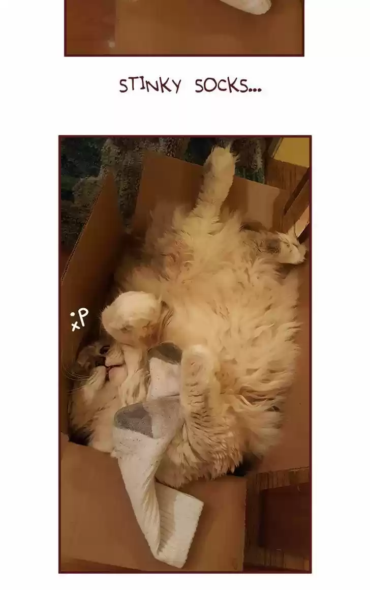 Saphie: The One-Eyed Cat 129