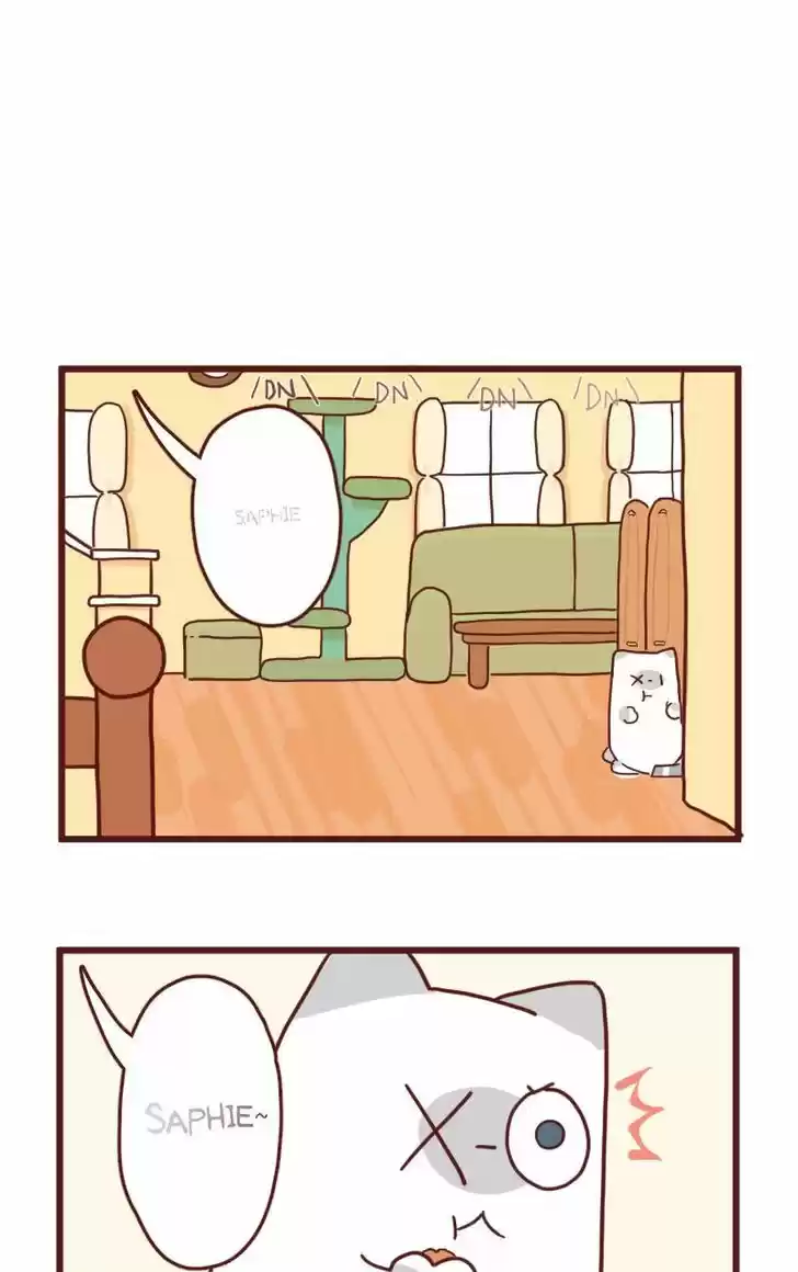 Saphie: The One-Eyed Cat 13