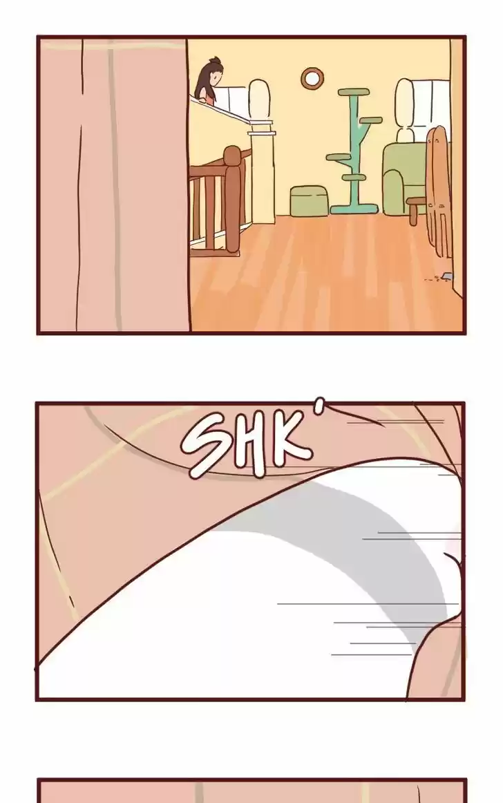 Saphie: The One-Eyed Cat 13