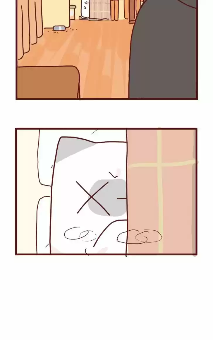 Saphie: The One-Eyed Cat 13