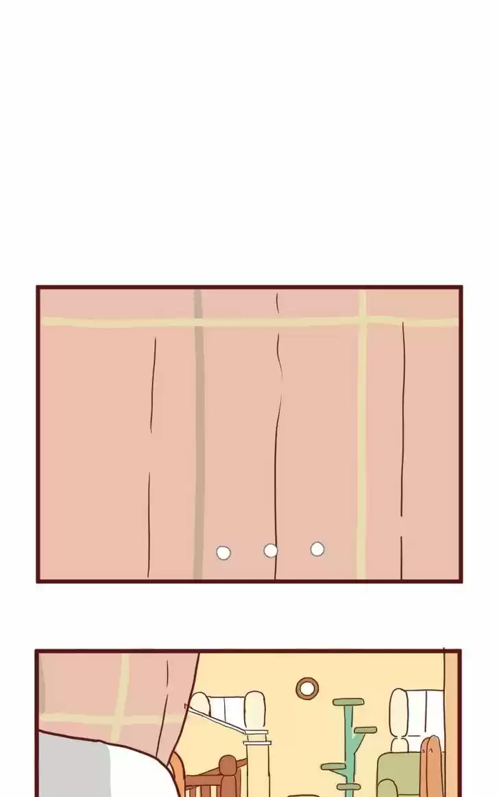 Saphie: The One-Eyed Cat 13