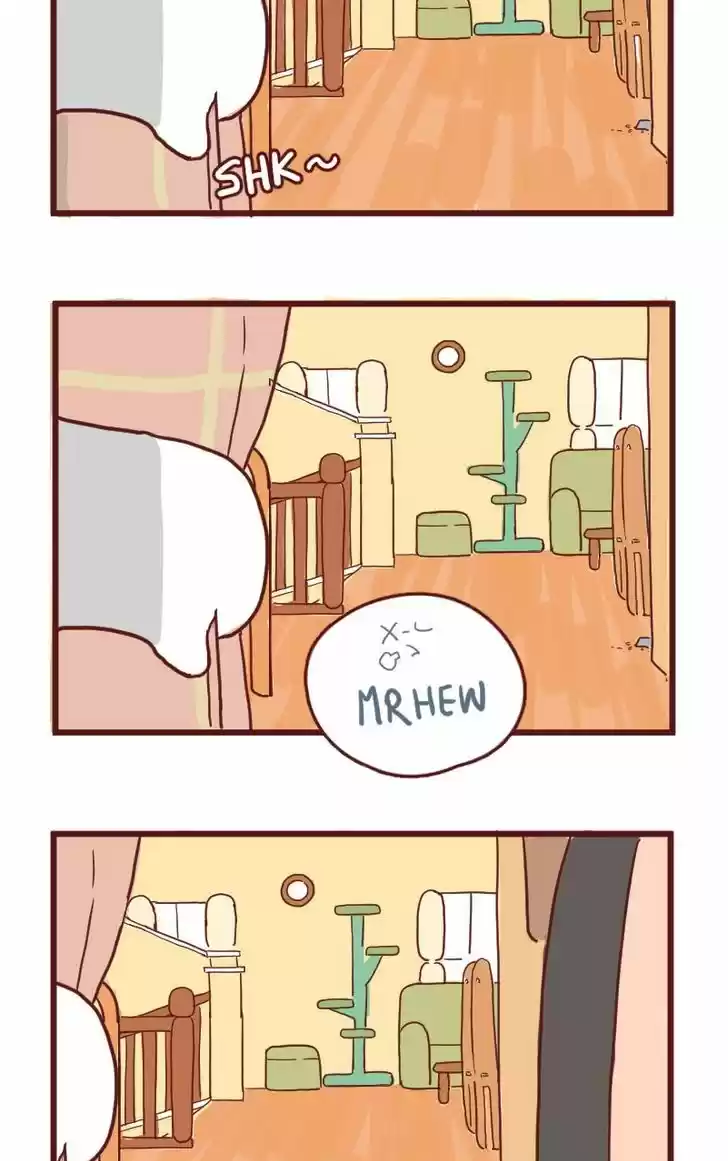 Saphie: The One-Eyed Cat 13