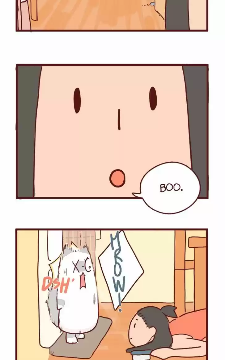 Saphie: The One-Eyed Cat 13