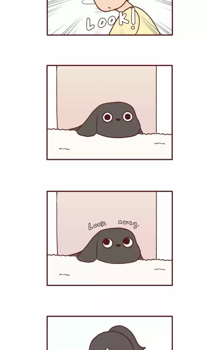 Saphie: The One-Eyed Cat 130