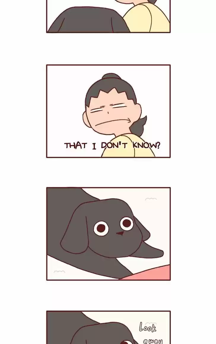 Saphie: The One-Eyed Cat 130