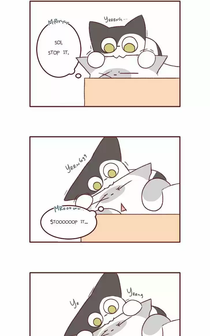 Saphie: The One-Eyed Cat 131