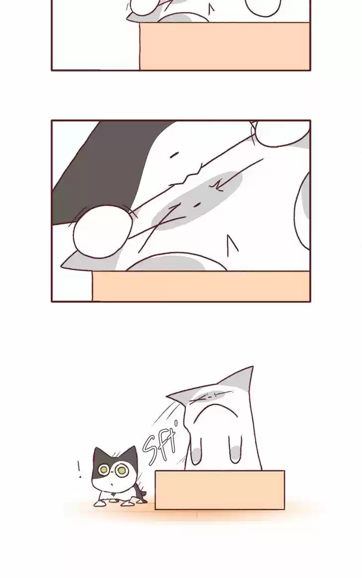 Saphie: The One-Eyed Cat 131