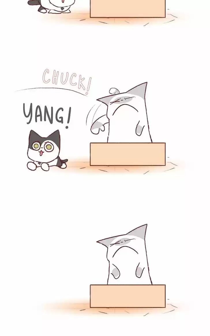 Saphie: The One-Eyed Cat 131