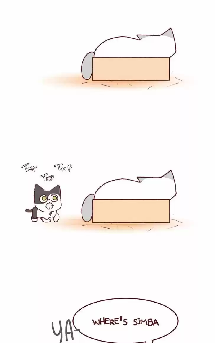 Saphie: The One-Eyed Cat 131