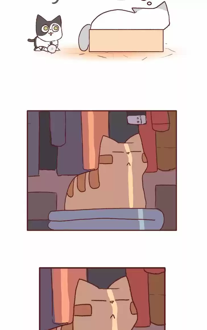 Saphie: The One-Eyed Cat 131