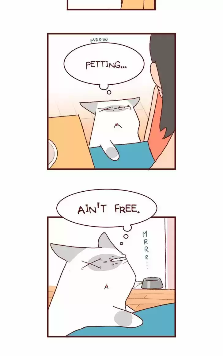 Saphie: The One-Eyed Cat 132