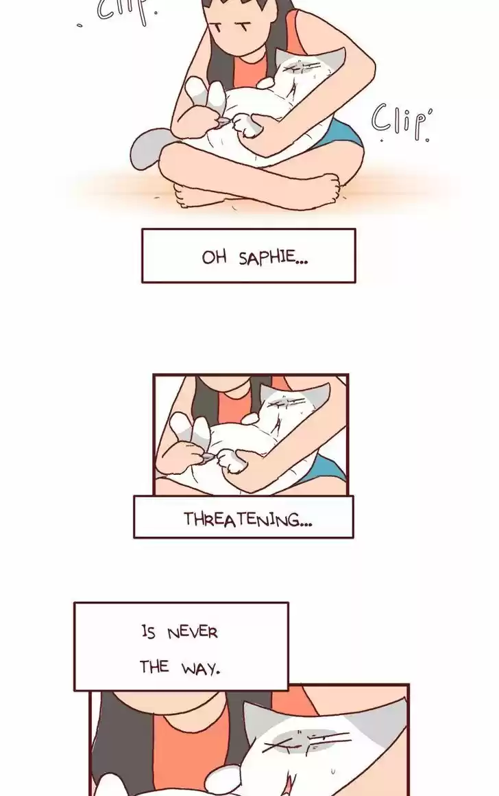 Saphie: The One-Eyed Cat 132