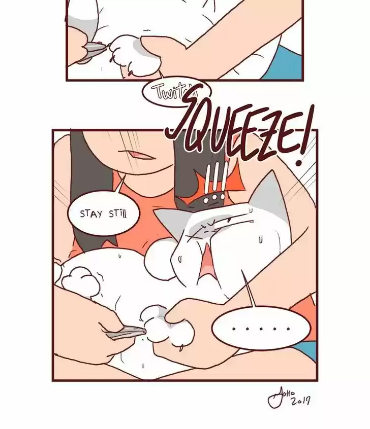 Saphie: The One-Eyed Cat 132