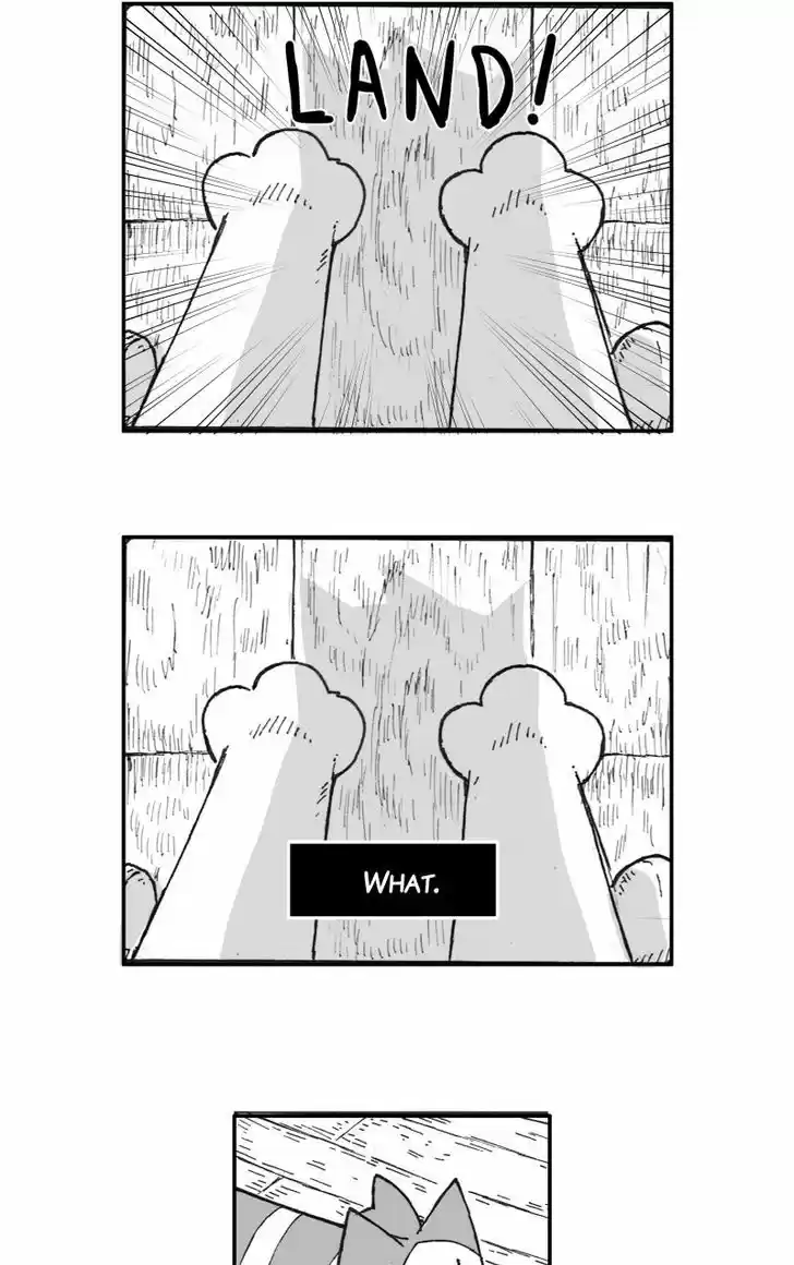 Saphie: The One-Eyed Cat 133