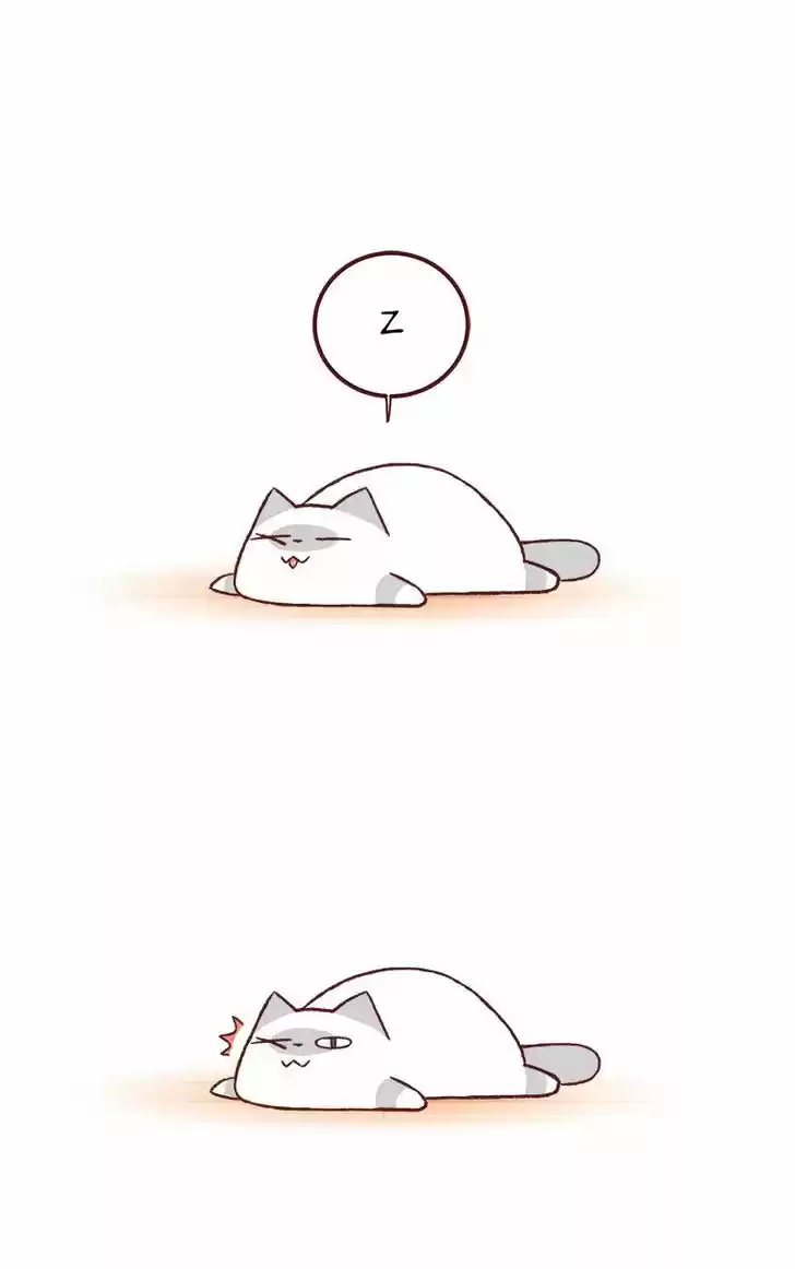 Saphie: The One-Eyed Cat 135