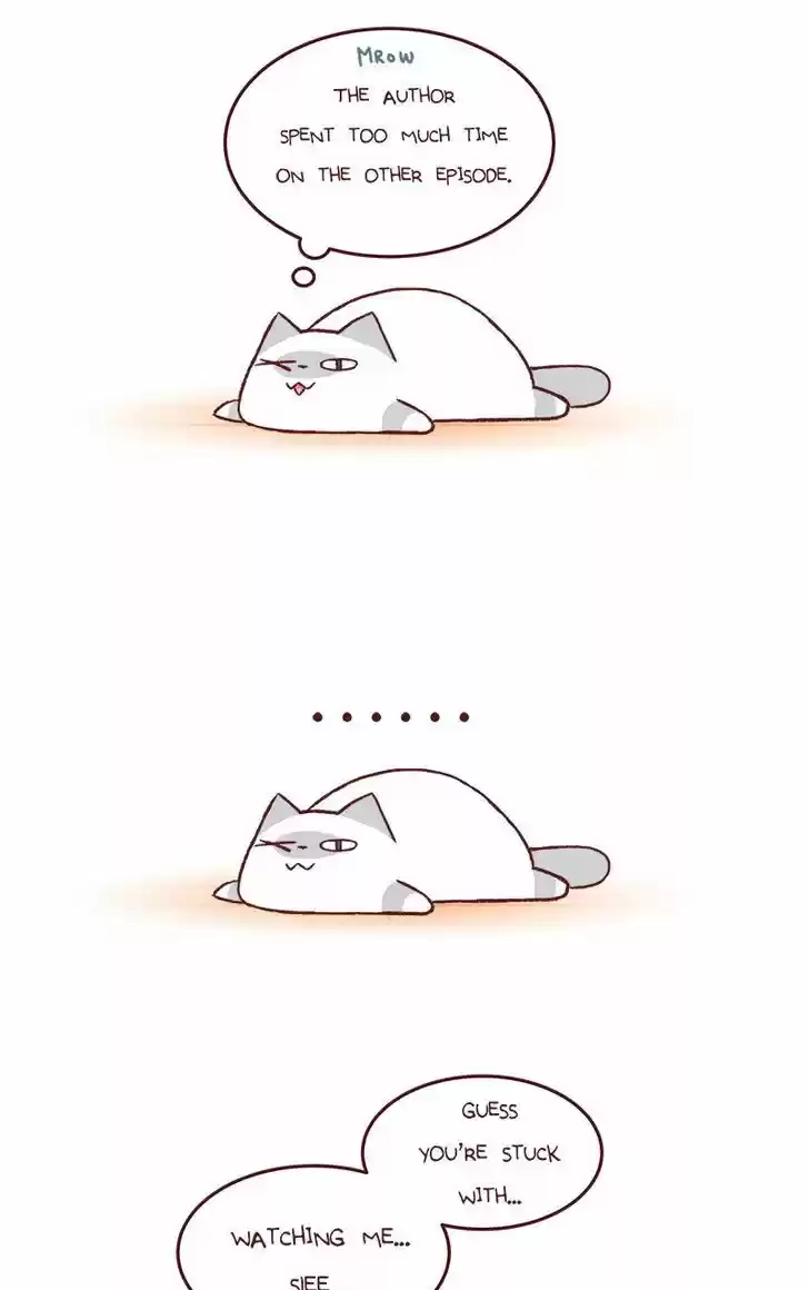 Saphie: The One-Eyed Cat 135