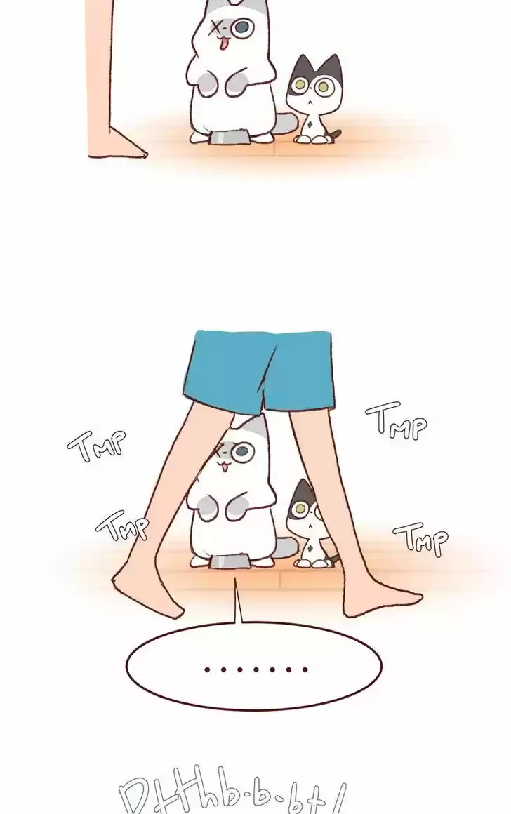 Saphie: The One-Eyed Cat 136