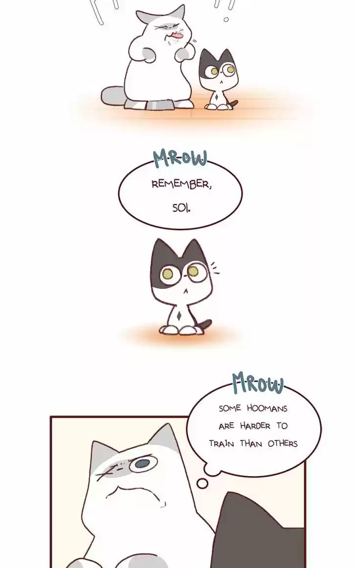 Saphie: The One-Eyed Cat 136