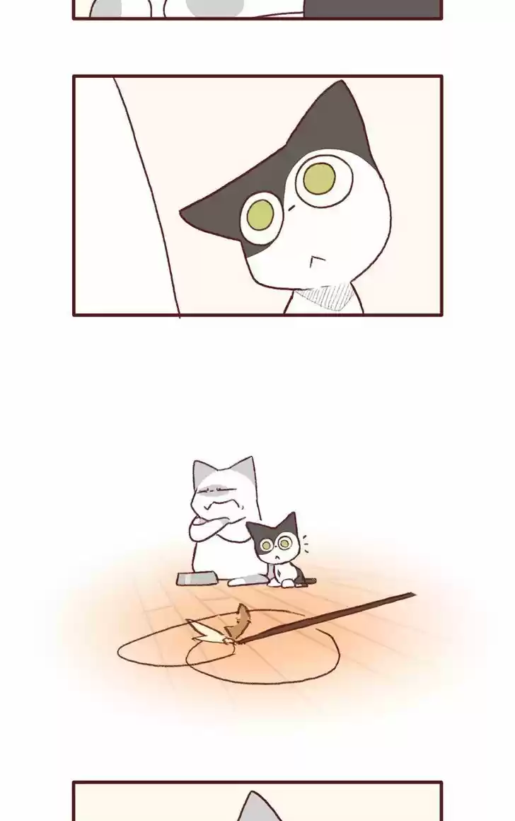 Saphie: The One-Eyed Cat 136