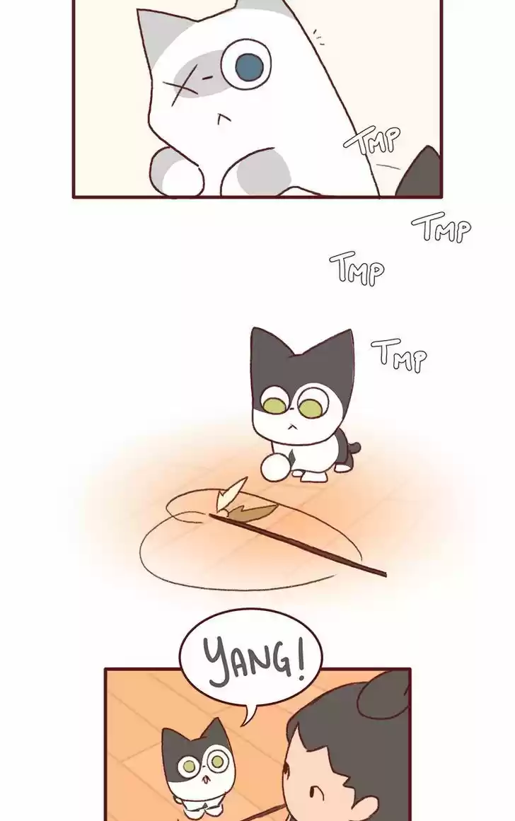 Saphie: The One-Eyed Cat 136