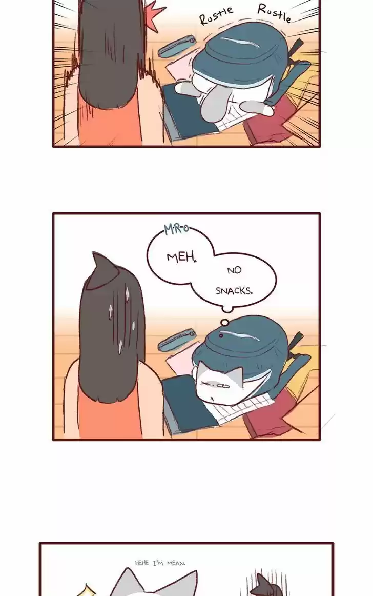 Saphie: The One-Eyed Cat 137