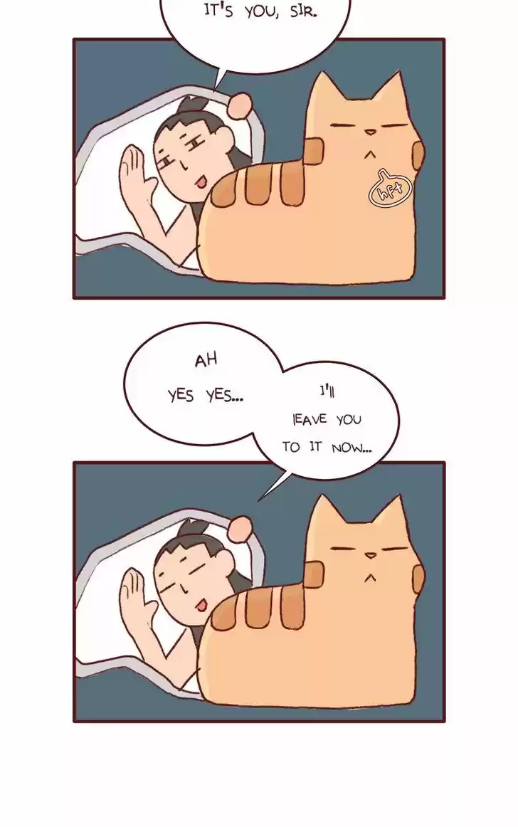 Saphie: The One-Eyed Cat 137