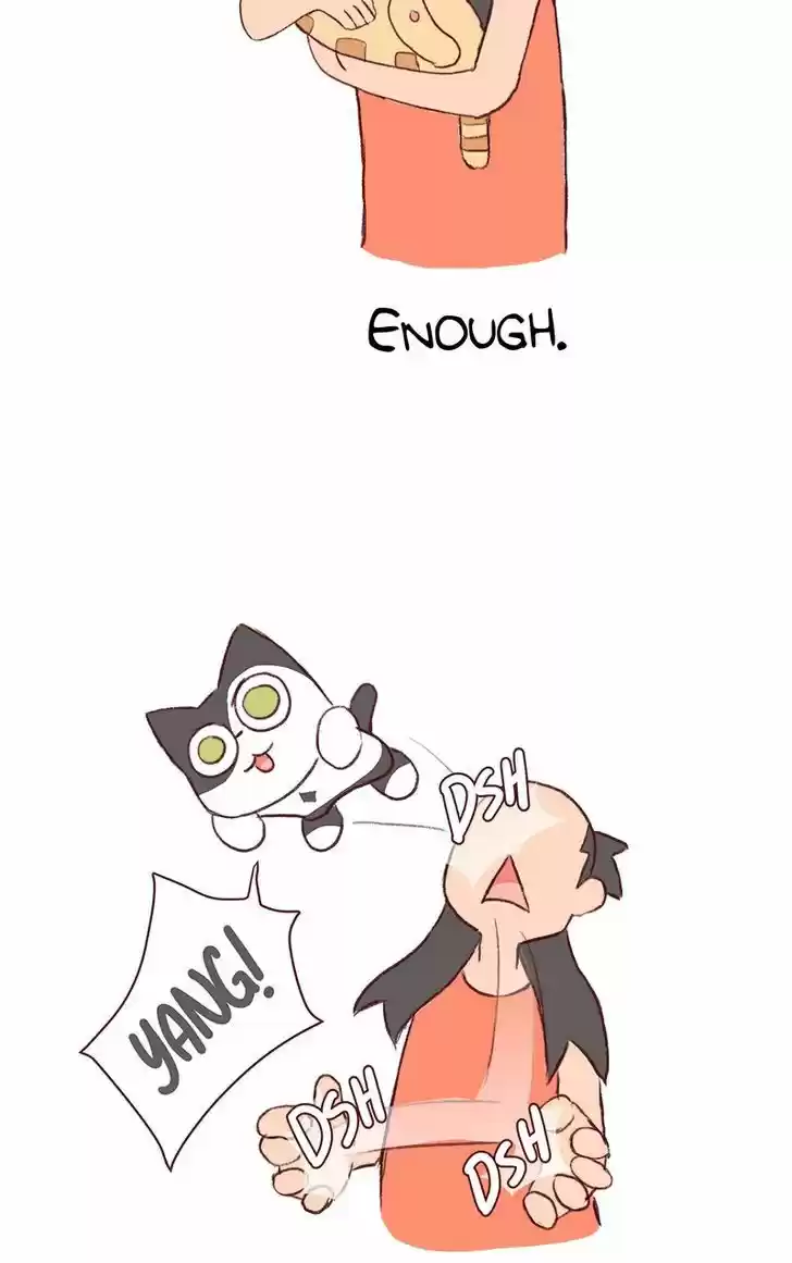 Saphie: The One-Eyed Cat 138