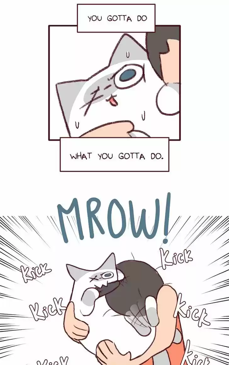 Saphie: The One-Eyed Cat 138