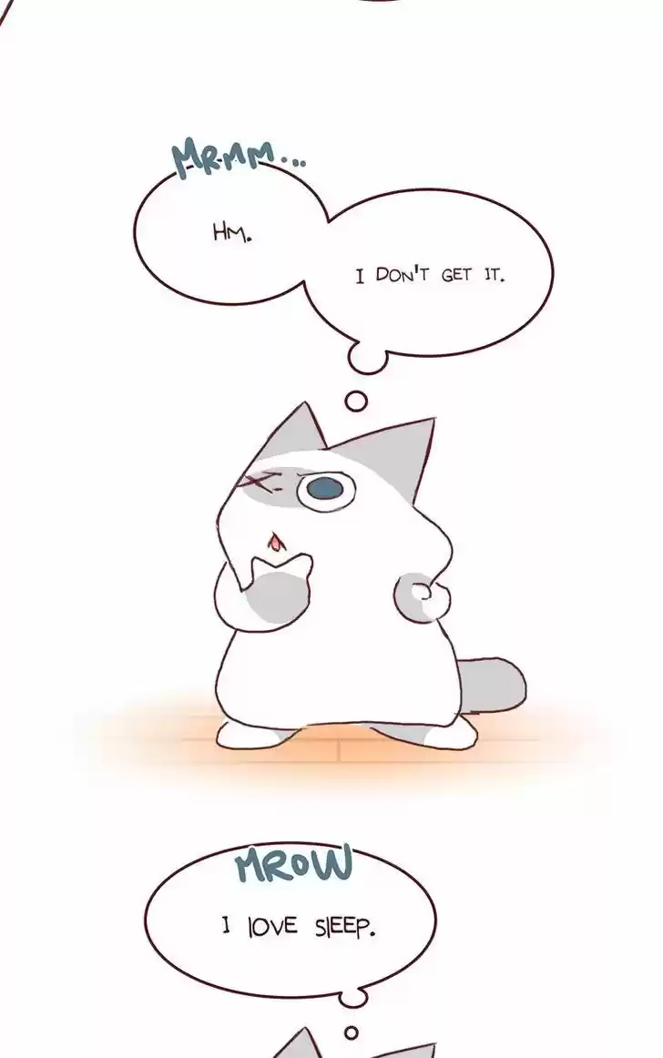 Saphie: The One-Eyed Cat 139