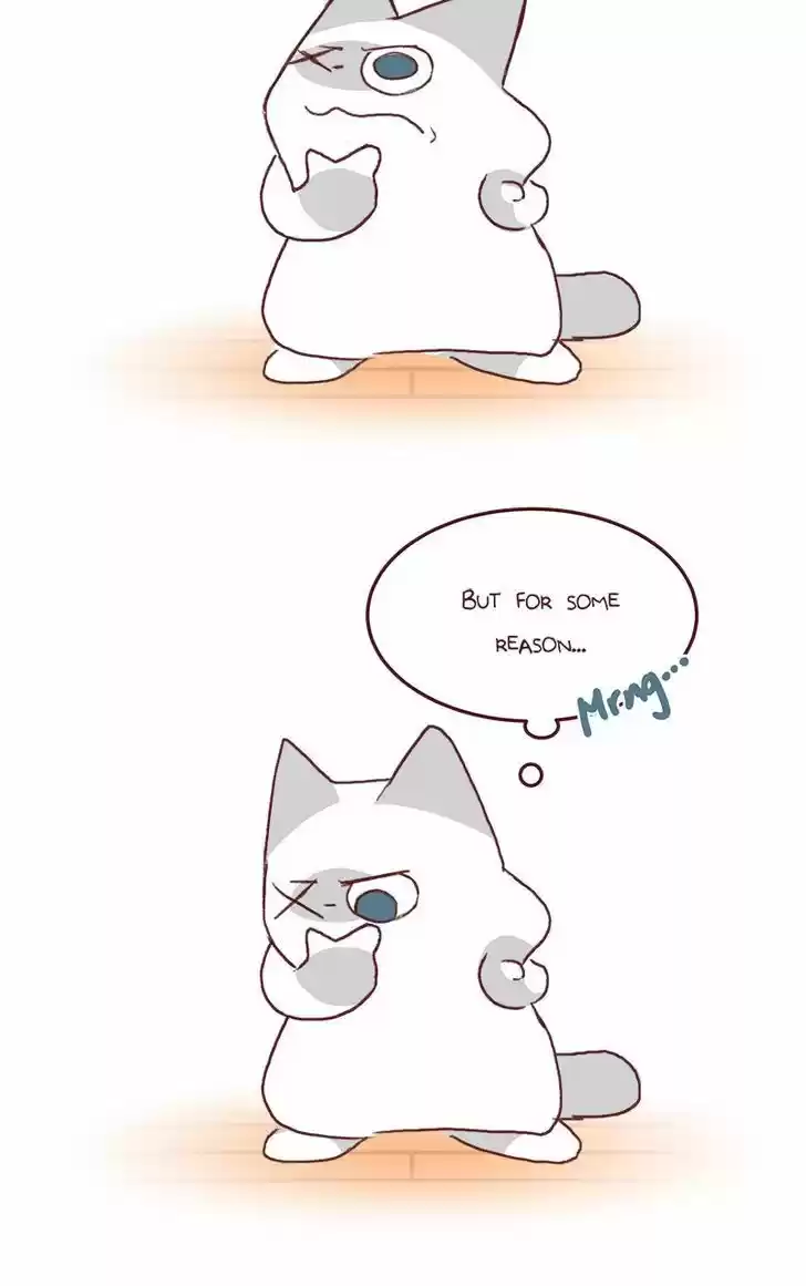 Saphie: The One-Eyed Cat 139