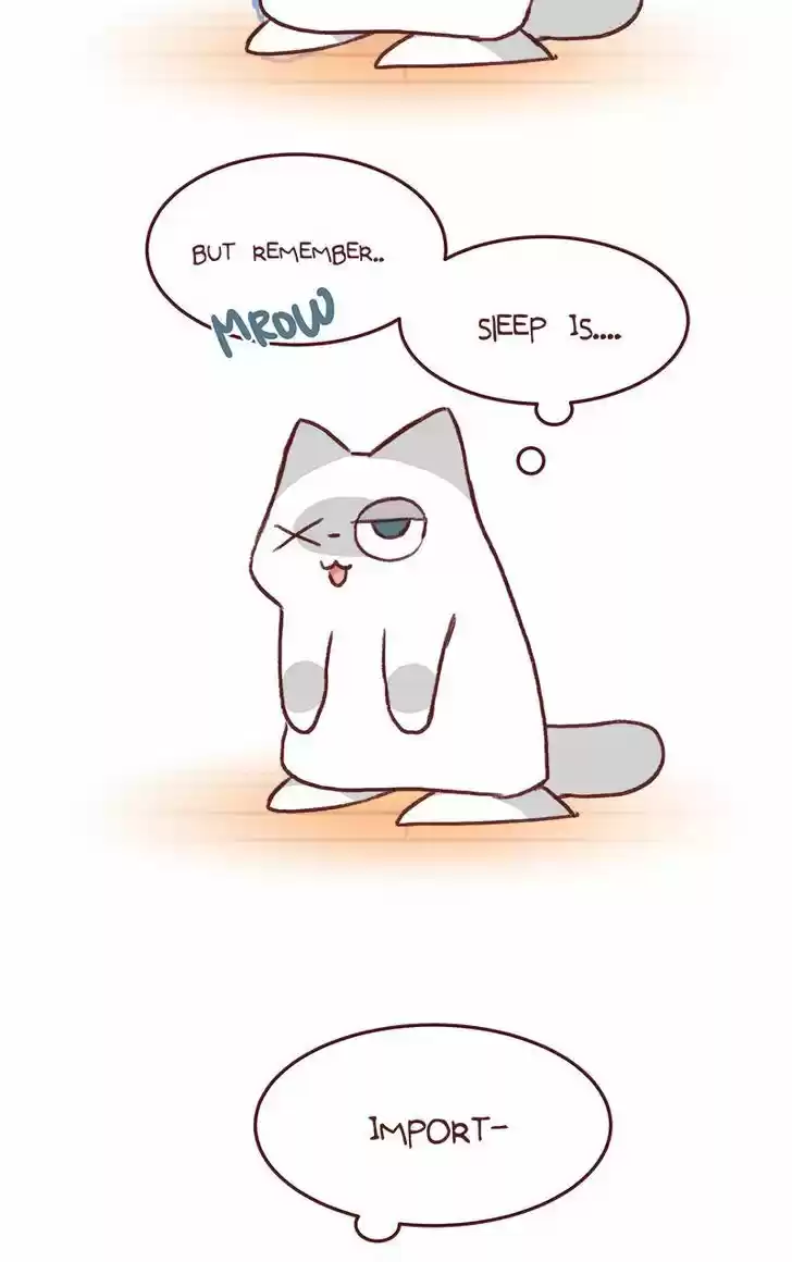 Saphie: The One-Eyed Cat 139