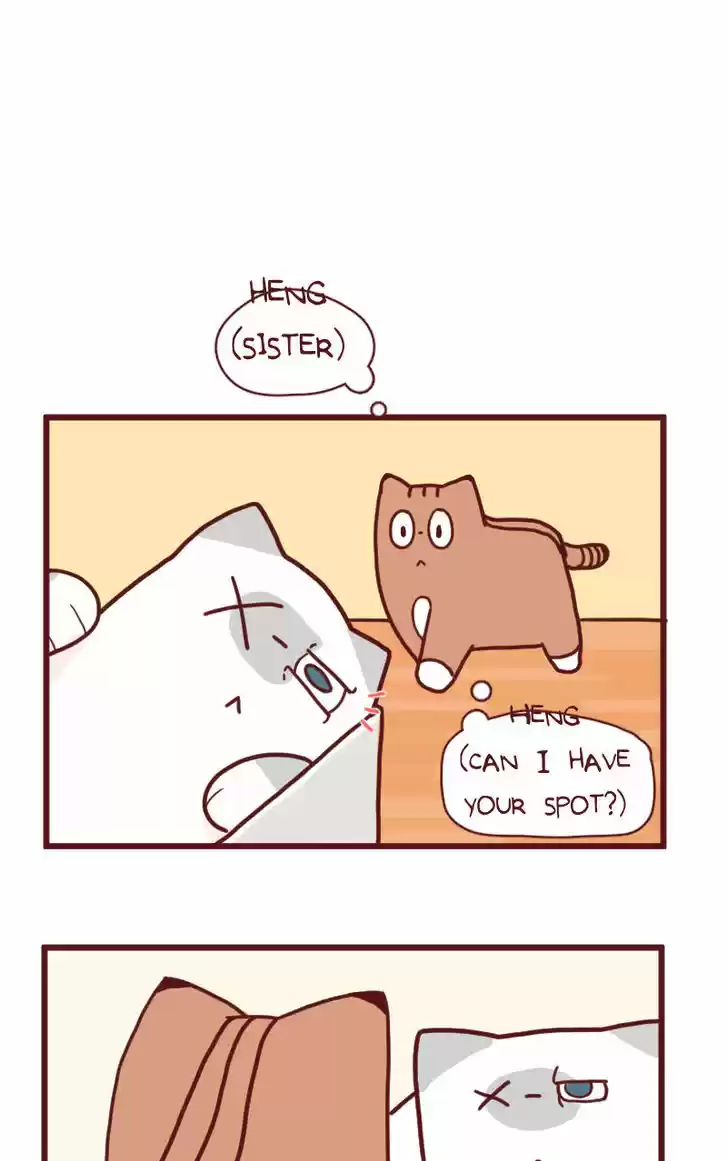 Saphie: The One-Eyed Cat 14