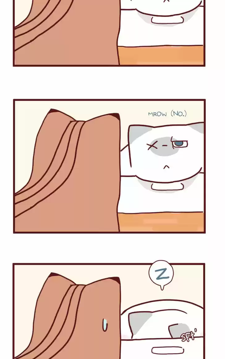 Saphie: The One-Eyed Cat 14