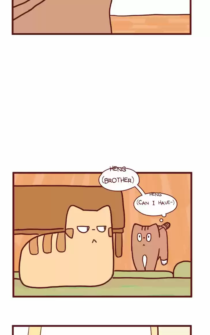 Saphie: The One-Eyed Cat 14