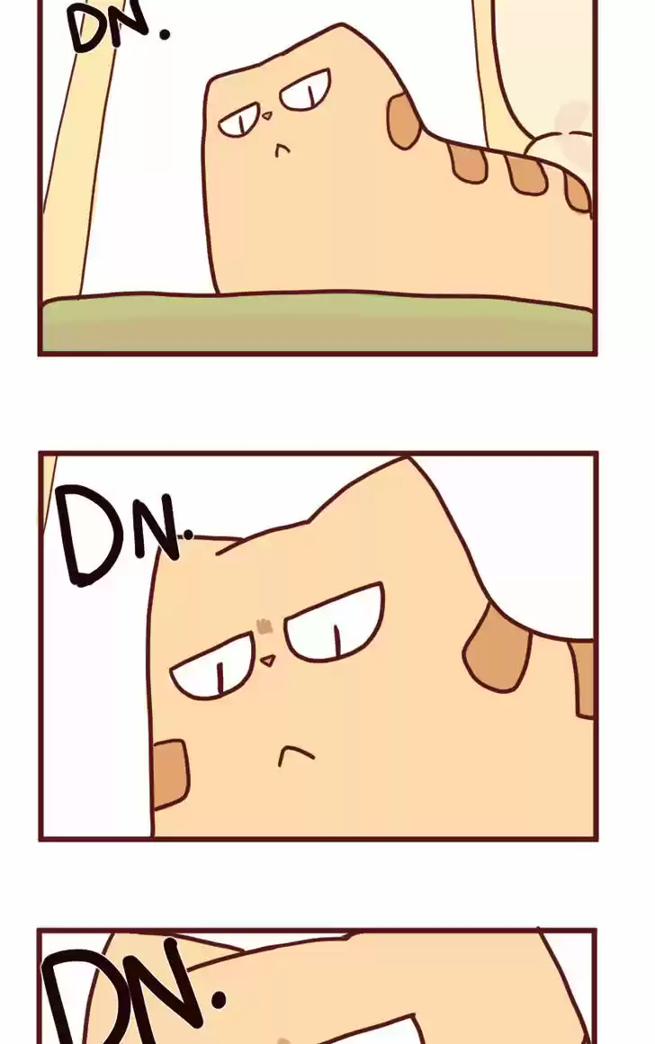 Saphie: The One-Eyed Cat 14