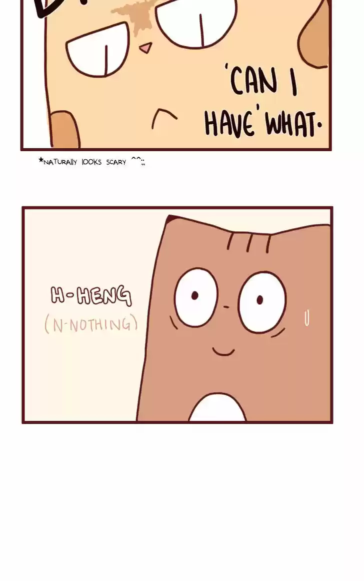 Saphie: The One-Eyed Cat 14