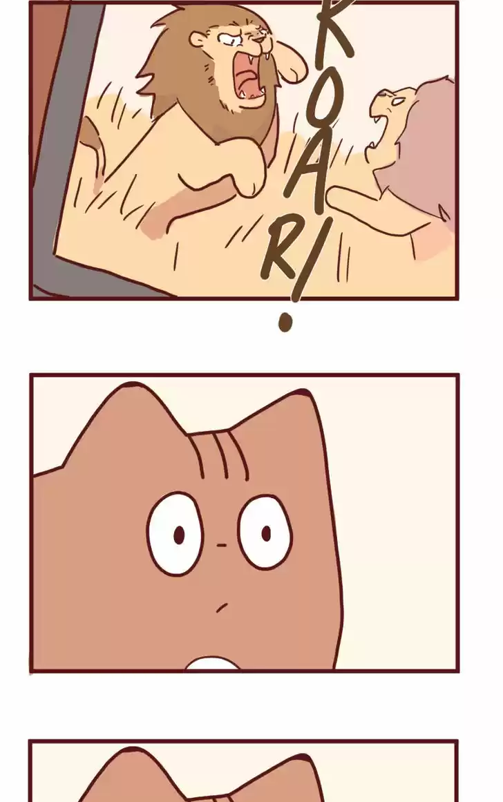 Saphie: The One-Eyed Cat 14